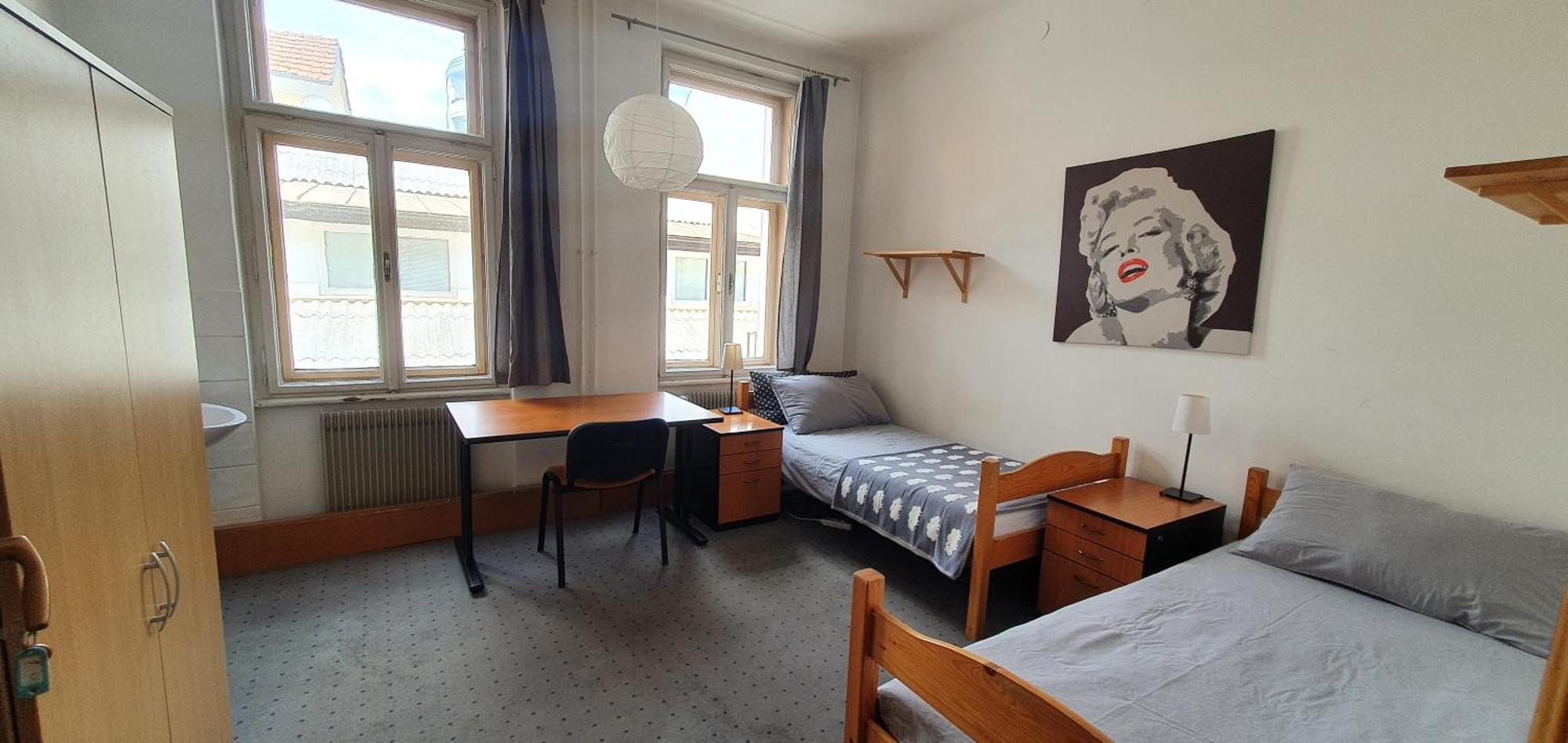 Central Rooms Ljubljana Dış mekan fotoğraf